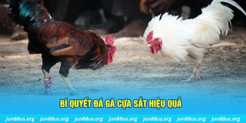 Bí quyết tham gia thi đấu, trải nghiệm bộ môn hiệu quả